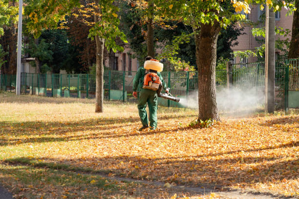 Spider Control Near Me in Centre Grove, NJ