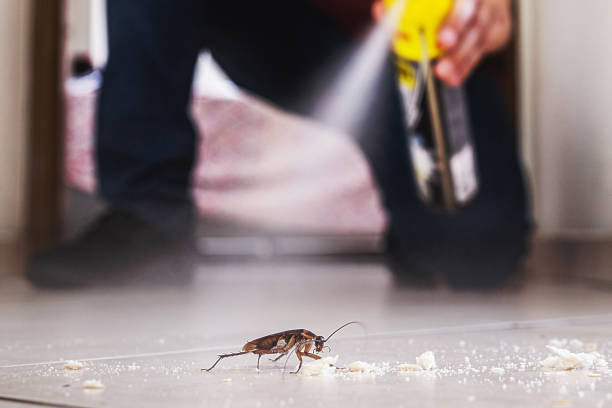 Best Termite Control Services  in Centre Grove, NJ